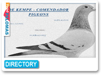 De Kempe - Comendador Pigeons
