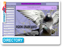Pigeons Lenaers Janick