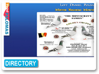 Loft Poussart Daniel - Pigeons stockbreeder in Belgium