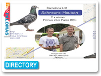 Schreurs-Hauben