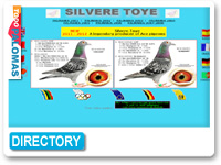 Silvere Toye - Racing Pigeons