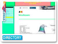 Steven Verhoye duiven