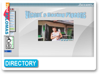 Vicont