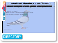 Vincent Bonnes