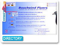 Flyers Boscheind