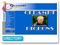 Oldambt Pigeons
