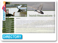 Patrick Wemmenhove