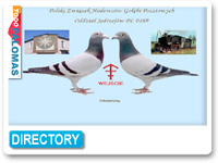 PZHGP Jedrzejow Poland