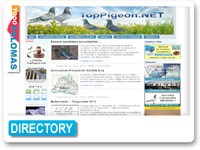 Toppigeon.net