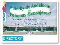 Derby De Andalucia