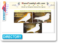 Hans Family Loft