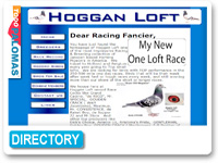 Hoggan Loft - Brad Hoggan
