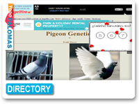 Pigeons & Pigeon Genetics