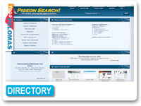 Pigeon Search! - Pigeon Website Directory