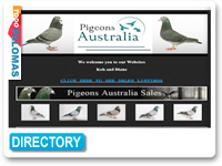 Pigeons Australia