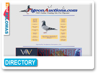 Pigeon Auction Com